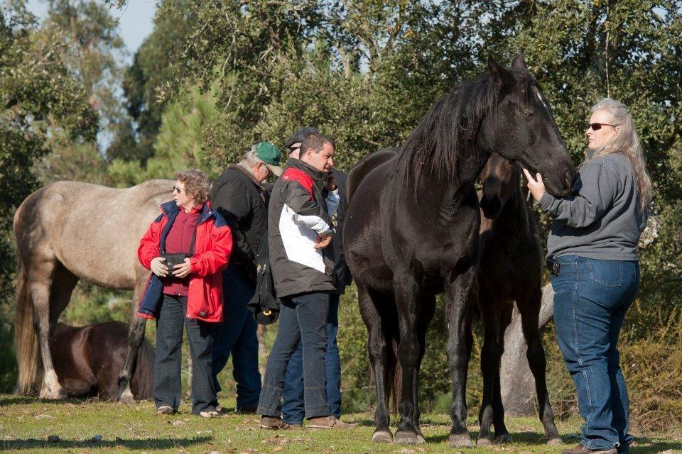 Coudelaria Vale Pau Villa Coruche Luaran gambar